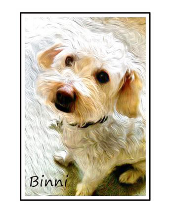 dog art Bini