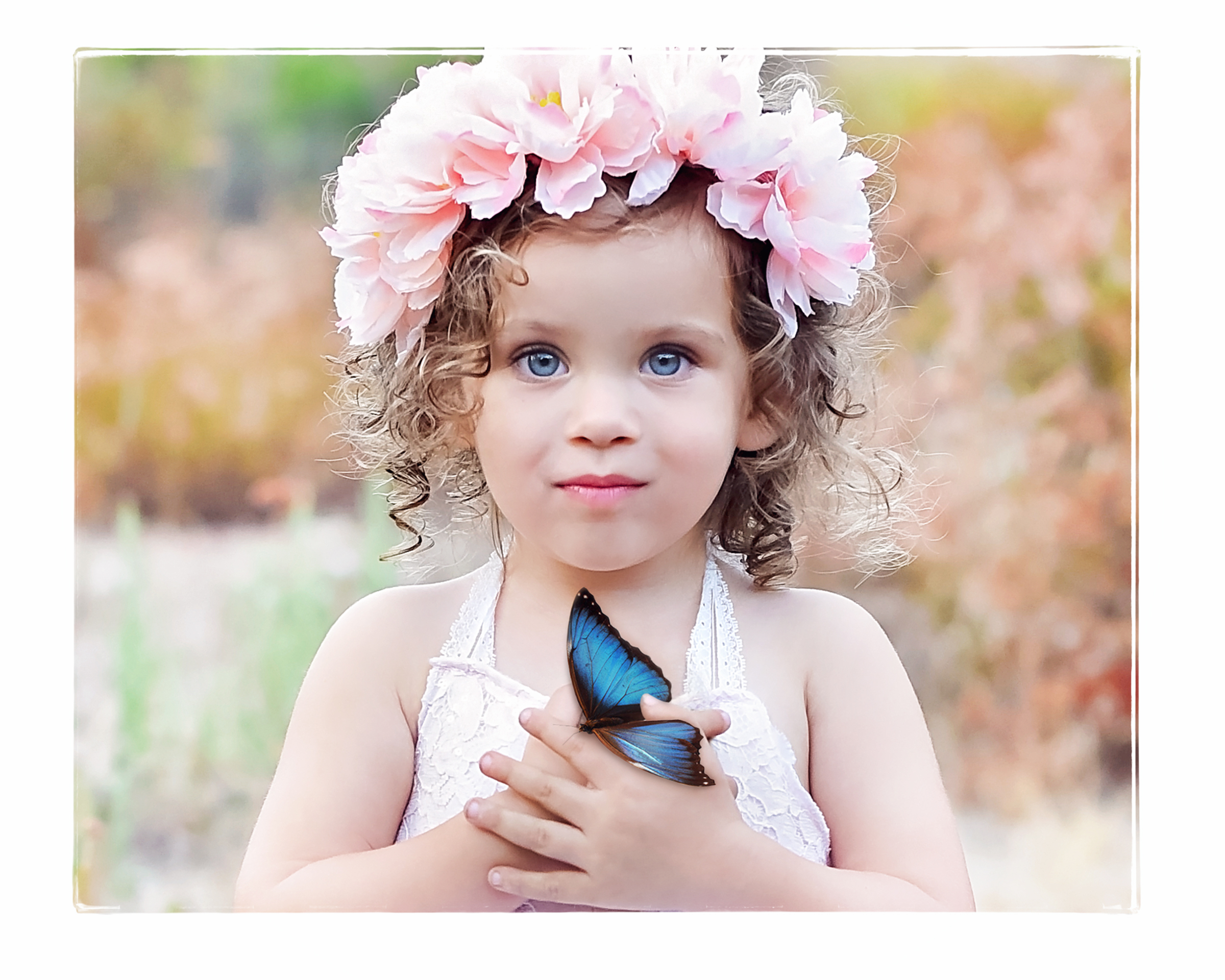 fairies-marion-bear-park-69-gift