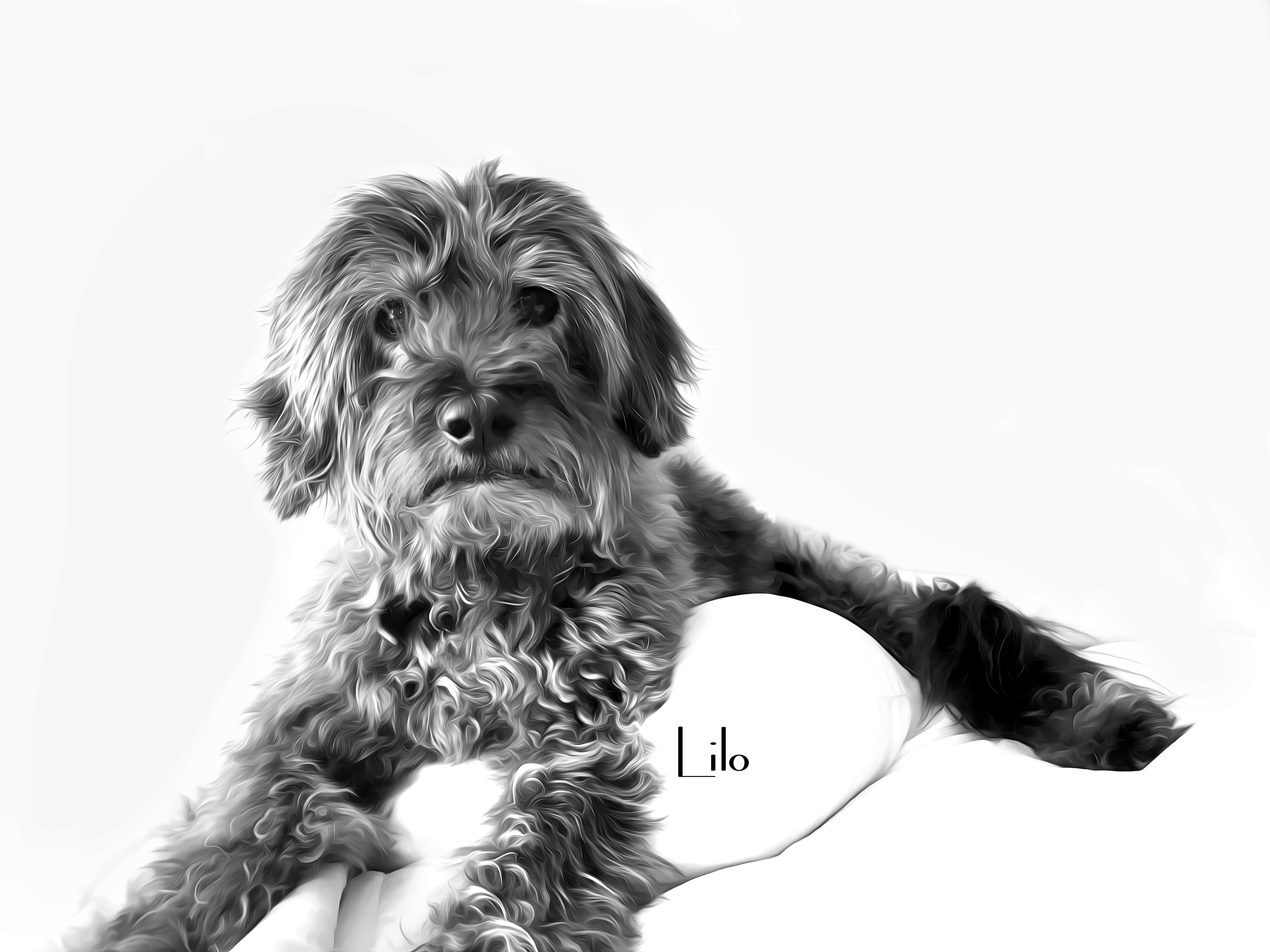 Lilo BW IMG_2055-A