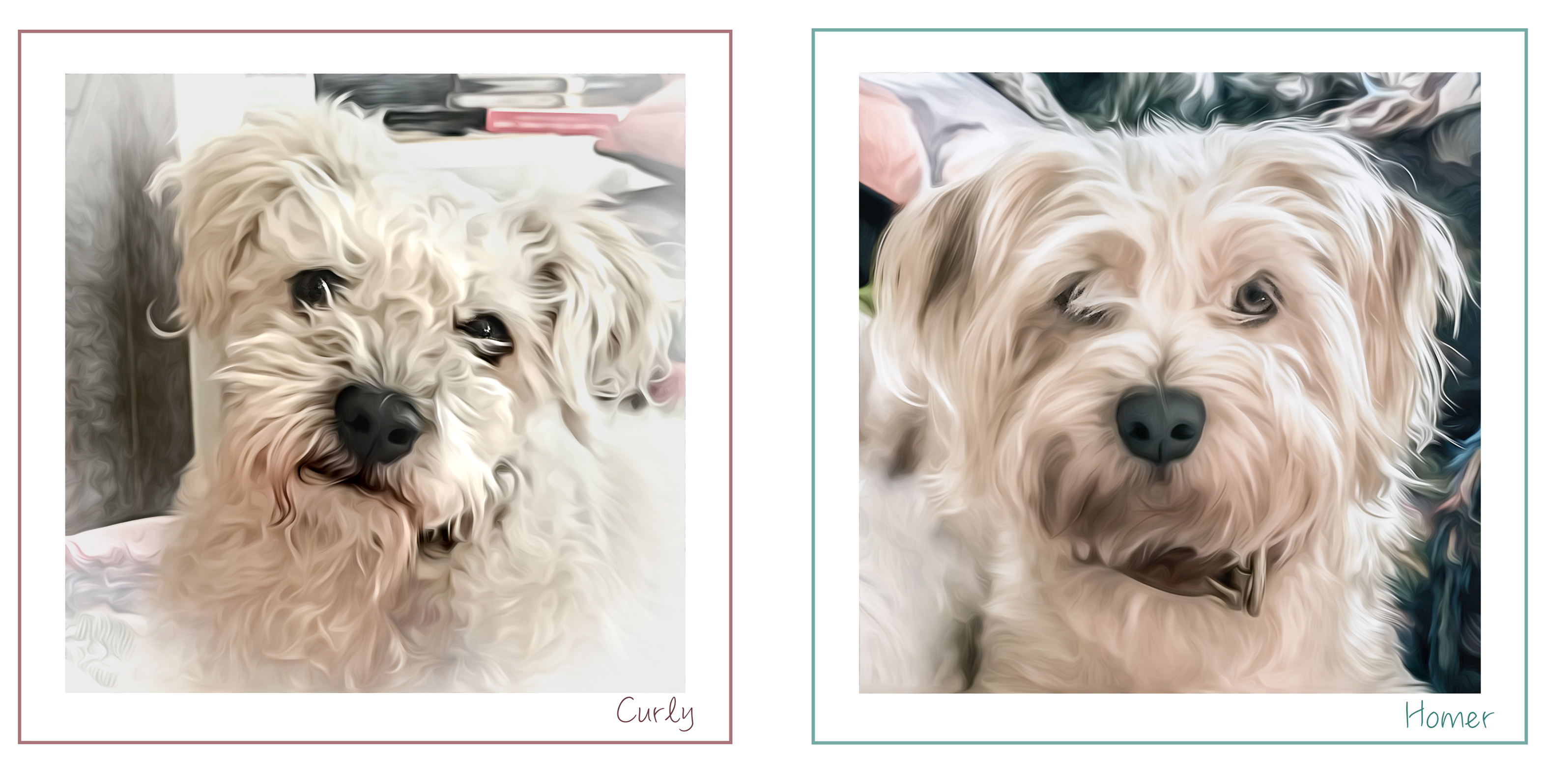 Kelly Samples Curly and Homer