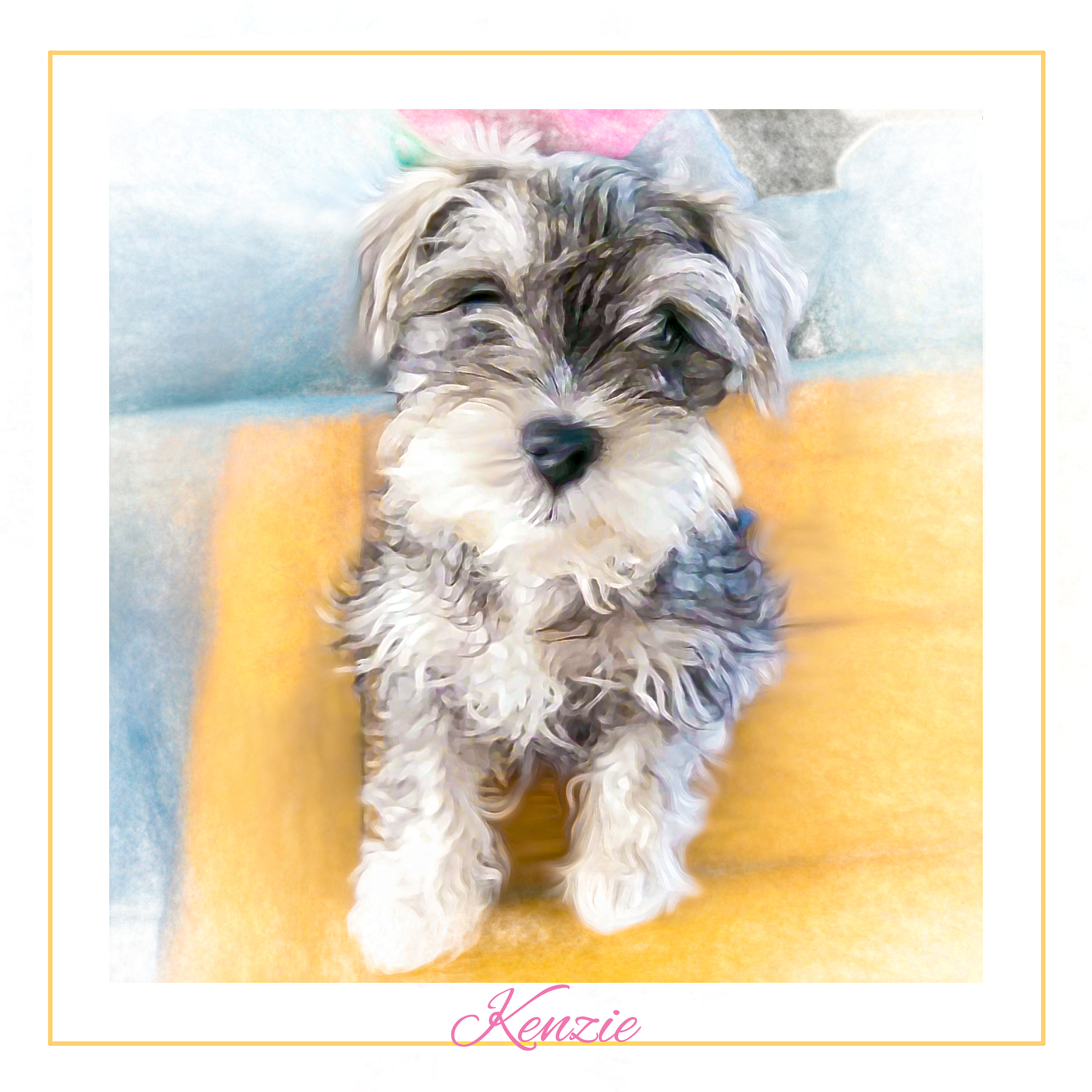 Kelly newest 2019-final